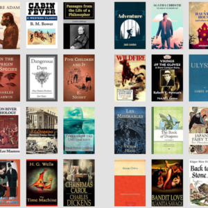 1,000 Timeless Classic and Famous Novels in Digital Format with PLR – 100% Copyright Free
